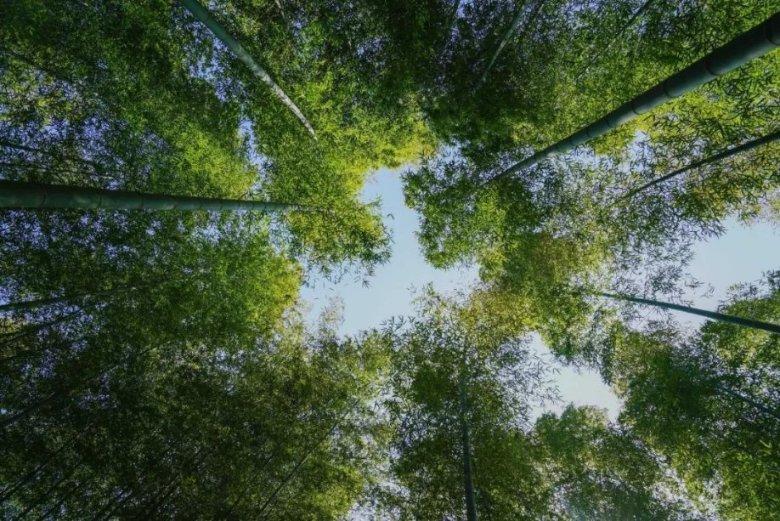 性能强大,乘坐舒适,上汽奥迪Q6称得上出行利器