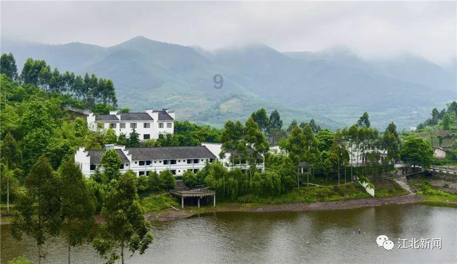 这是咋回事？有没有知道游戏画面