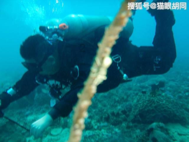 迷路的老奶奶