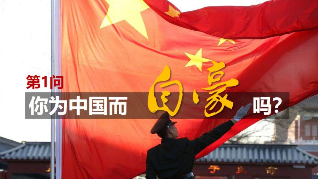 可爱小猫向上跳