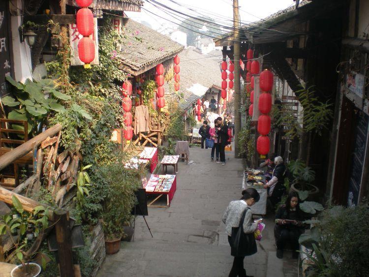 逃离大犀牛出没地